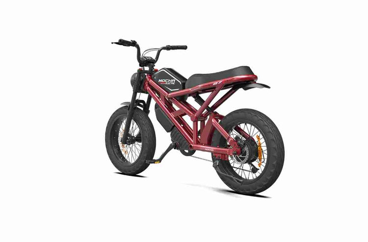 2 person electric bike wholesale