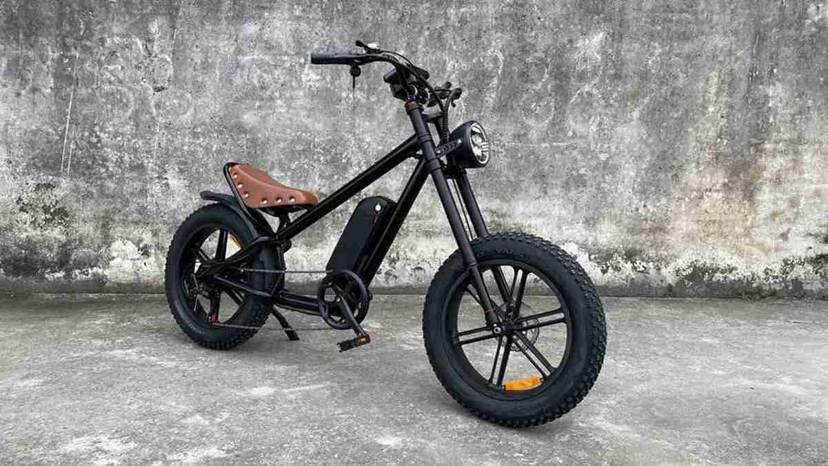 3 wheel Electric bike for adults wholesale