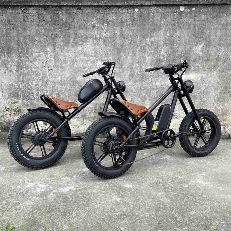 Chinese Electric Bikes Prices wholesale
