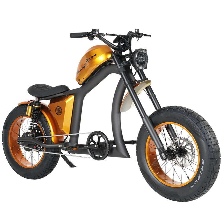 Fat Tire Electric Bike with Aluminum Frame for Adults CE EU for Sale 27