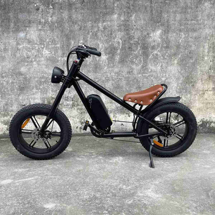 Folding Electric Cycle wholesale
