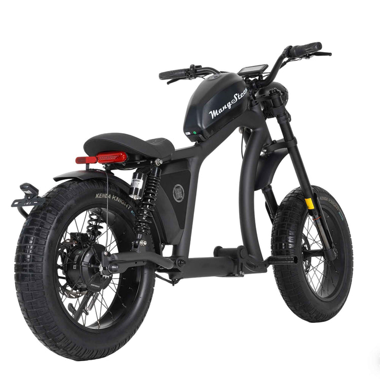Street Legal Electric Bike Mangosteen FT02 1000w 45km/h EEC COC CE 35