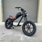 cb01b echopper bike Rooder with 48v 500w 15a 20a 25-45km/h wholesale price