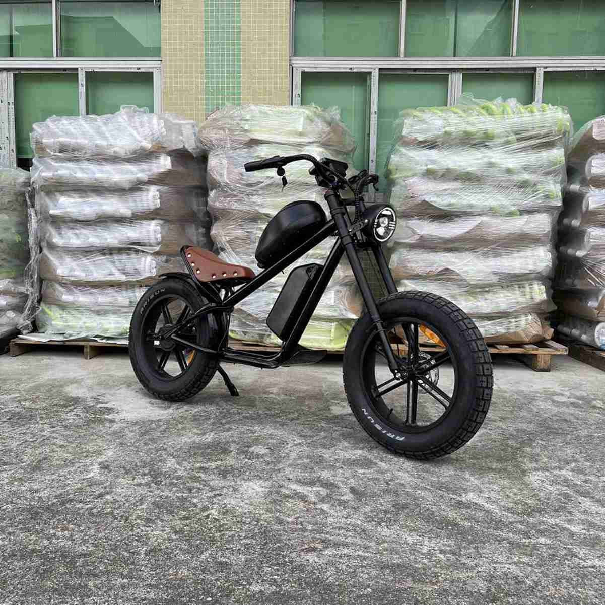 schnellstes elektrofahrrad der welt Fastest Fat Tire Electric Bike wholesale