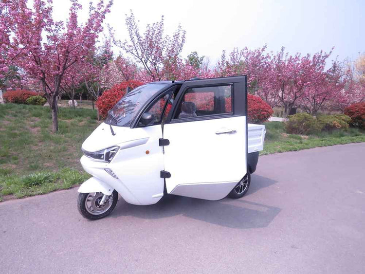 cars electric car factory wholesale price