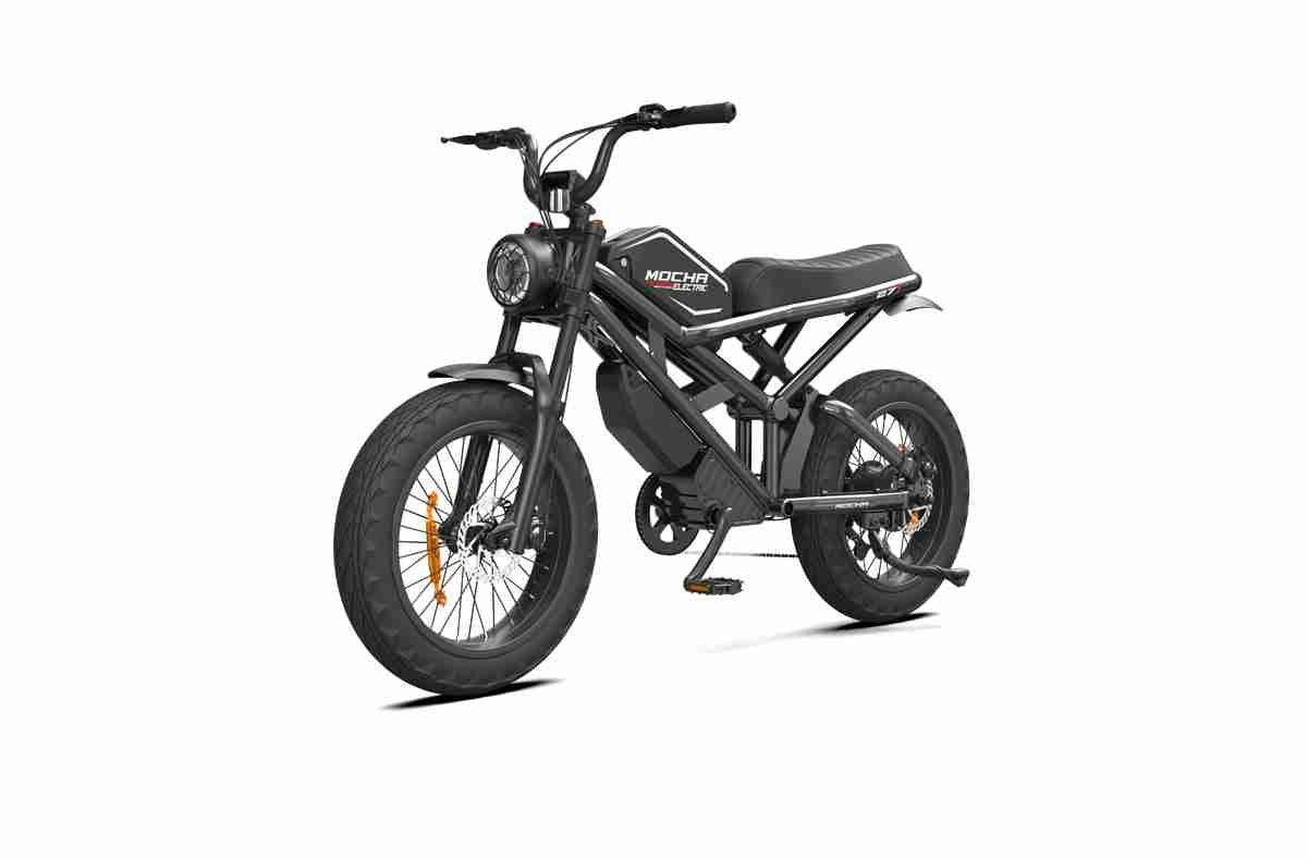 two seater electric bicycle two seater Electric bike wholesale