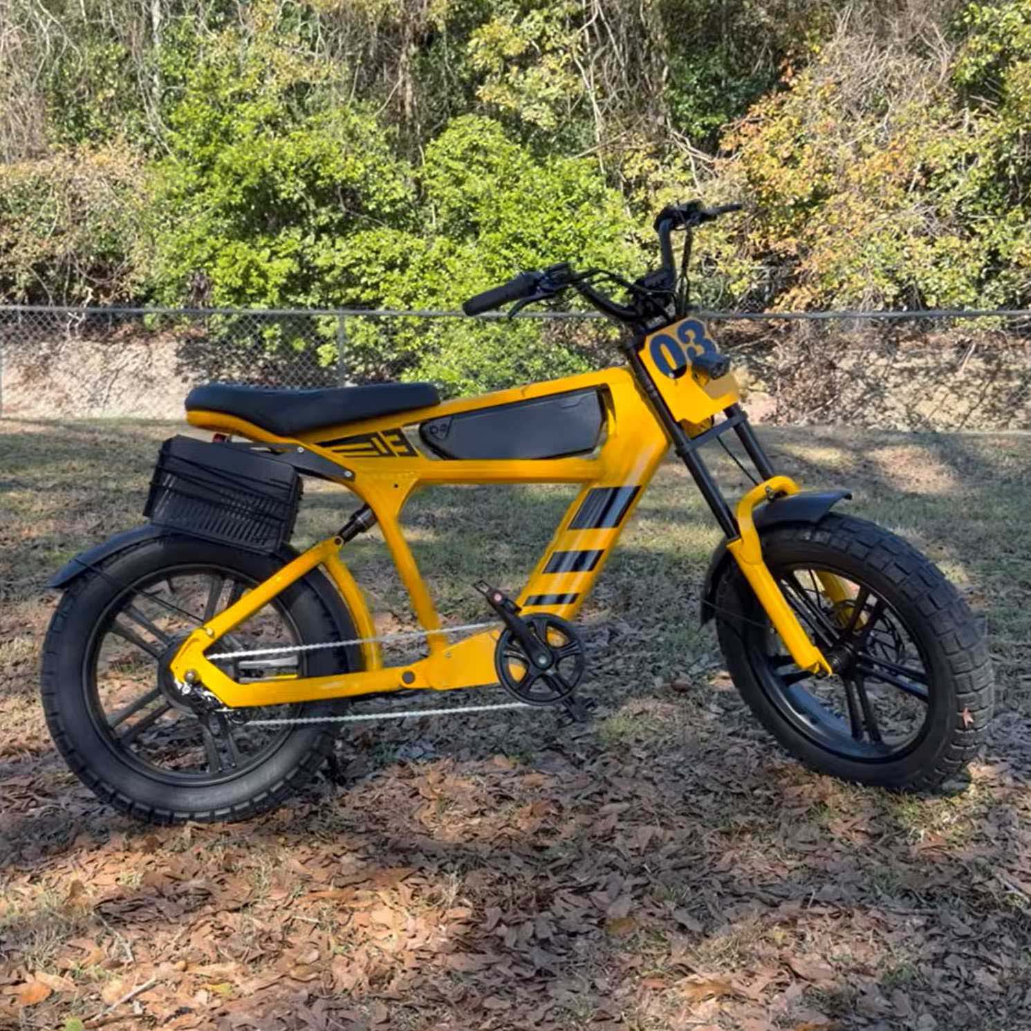 Used Adult Electric Bike Mangosteen FT03 1500W for Sale