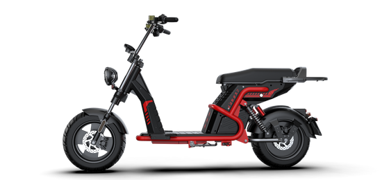 Rooder citycoco chopper Rooder Larsky 4000w 85kmph