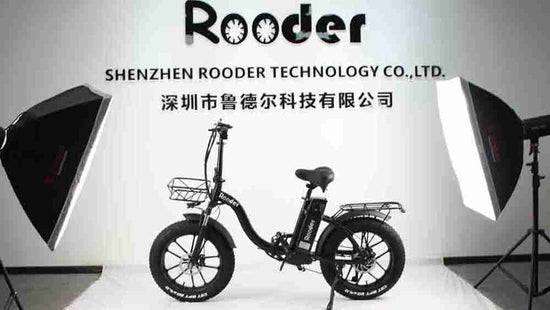 250w Electric Bike