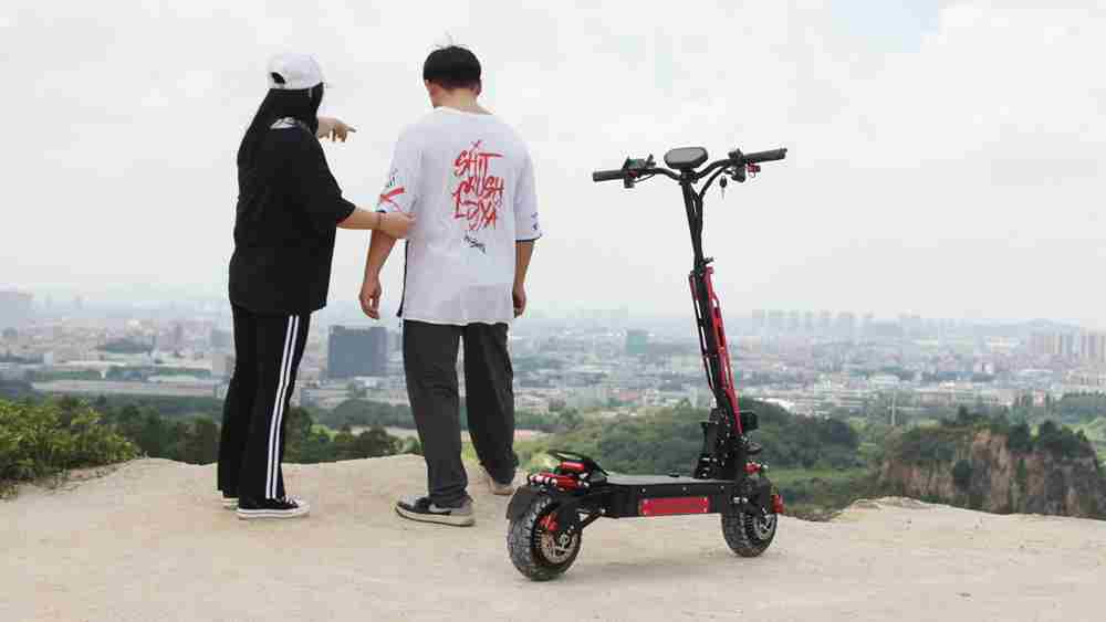 3 Wheel Electric Stand Up Scooter