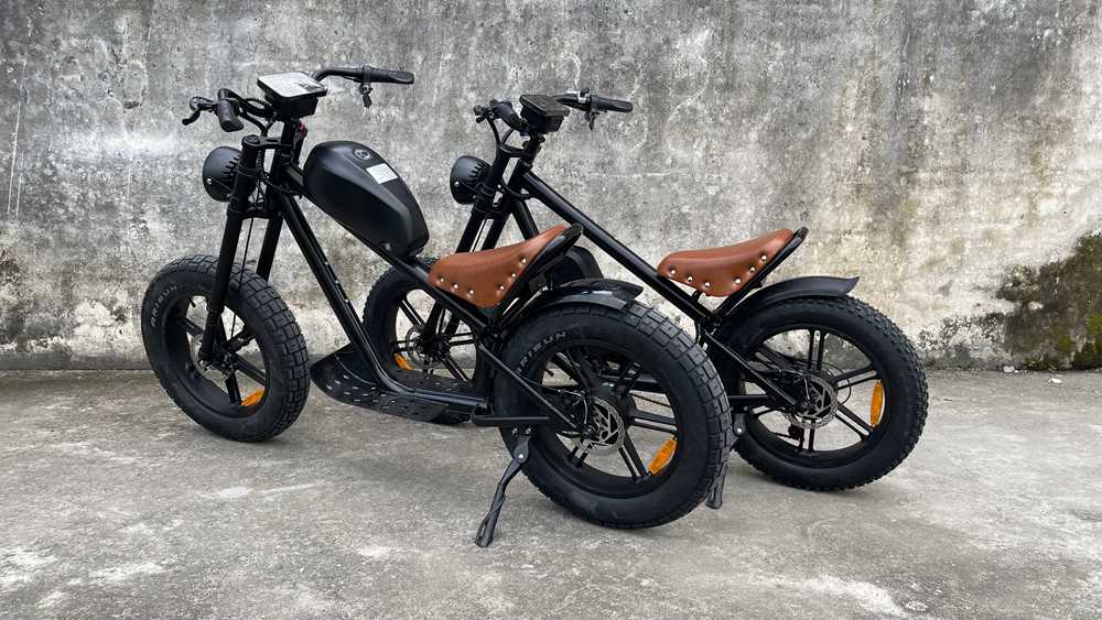 Best Electric Bike With Fat Tires