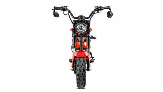 Citycoco 1000w Factory