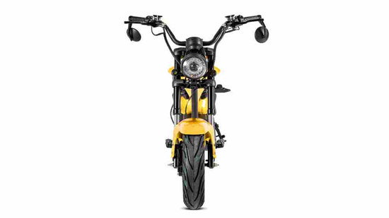 Citycoco Bike 2000 Factory