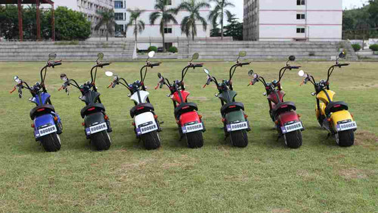 Mopeds For Adults Factory