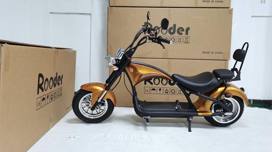 Rooder Super M1 custom 3000w passenger seat citycoco