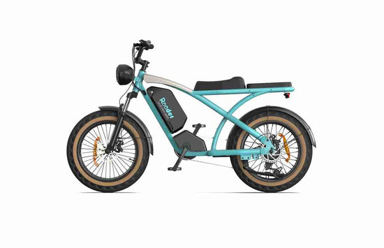 20 Inch Ebike wholesale