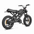 24 Electric Bike wholesale