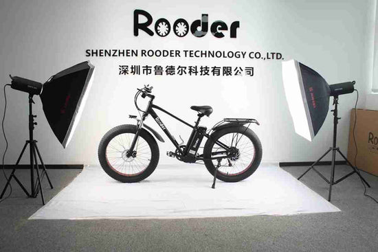 24 Inch Electric Bike wholesale