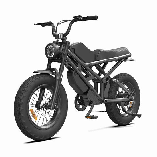 24 Inch Fat Tire Electric Bike wholesale