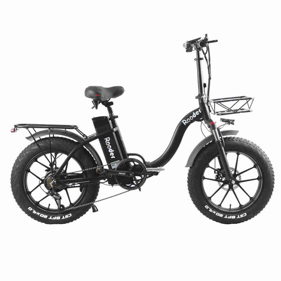 250w Electric Bike wholesale