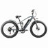 3 wheel e bike wholesale