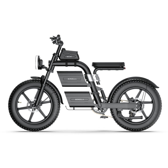 Ronzlla Odeway E20 Plus Electric Bike  High Speed for Sale