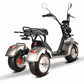 3 wheel electric scooter Rooder hm7 4000w 40ah for sale