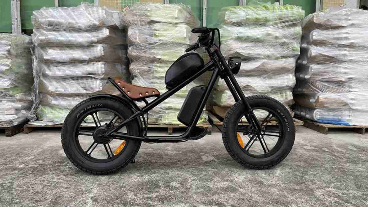 4 wheel electric bike for adults wholesale