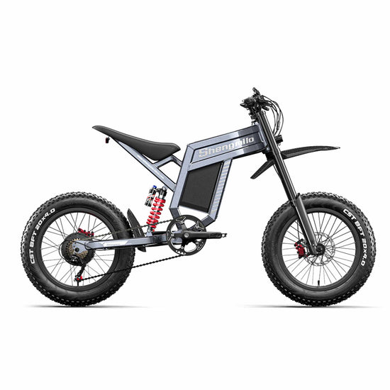 40MPH EBike RONZLLA Shengmilo S900 3000W 60V 30AH for Sale