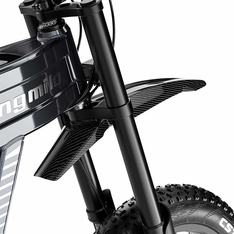 40MPH EBike RONZLLA Shengmilo S900 - front fender and suspension