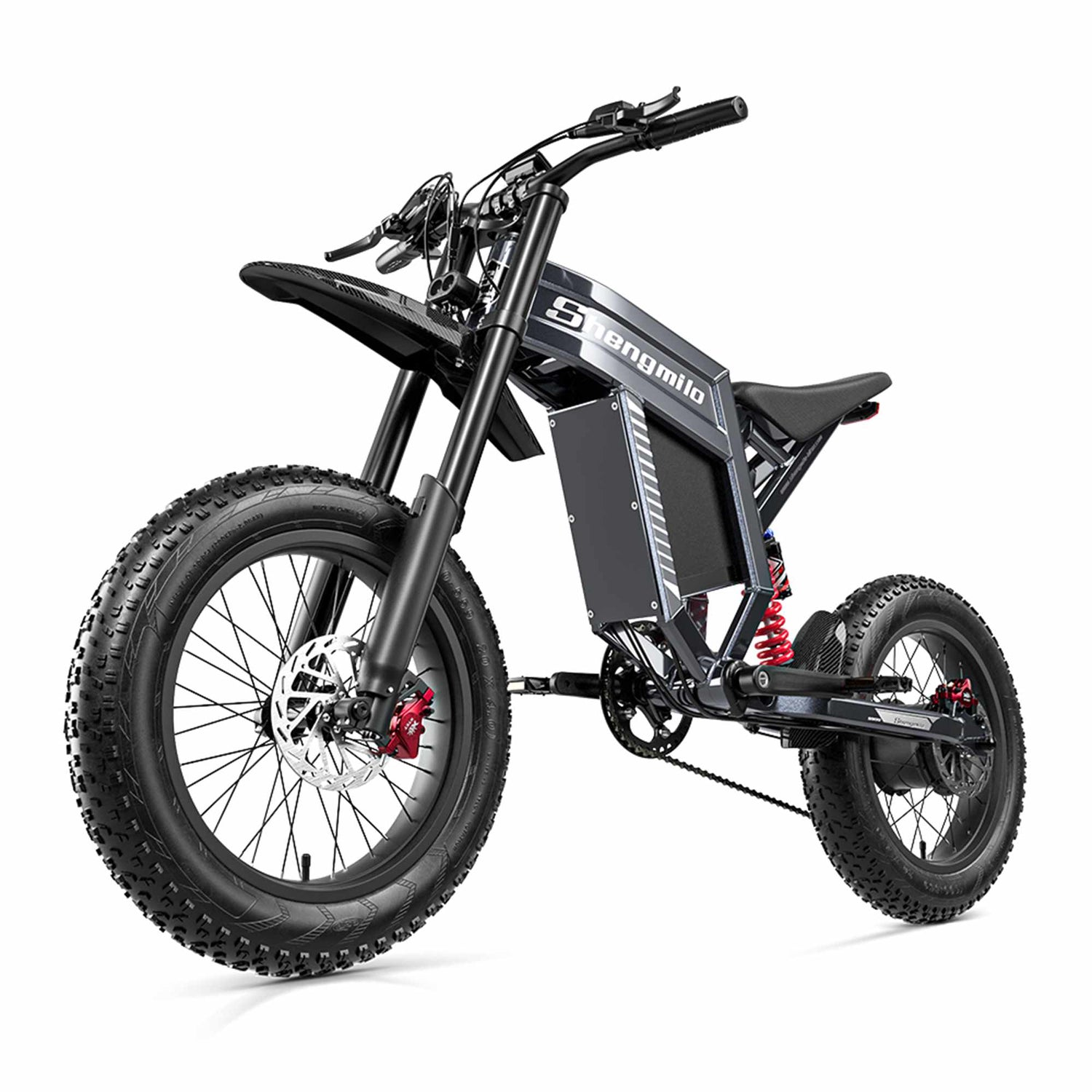 40MPH EBike RONZLLA Shengmilo S900 3000W 60V 30AH for Sale Best Price