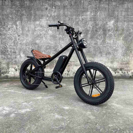 750 Watt Electric Bike wholesale
