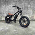750 Watt Electric Bike wholesale