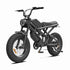 750w Electric Bike wholesale