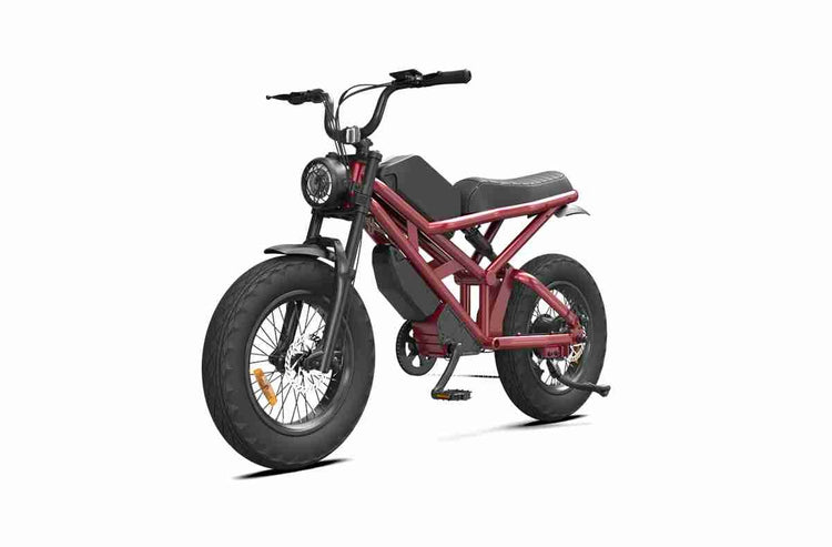 Adult Fat Tire Electric Bike wholesale