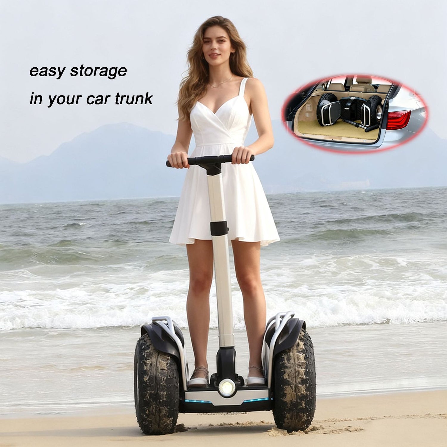 Balance Scooter Electric Off Road RONZLLA X60 Plus 3000W US for Sale 14