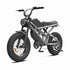 Best E Bike Fat Tire wholesale