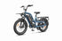 Best Fat Tire Electric Bike wholesale