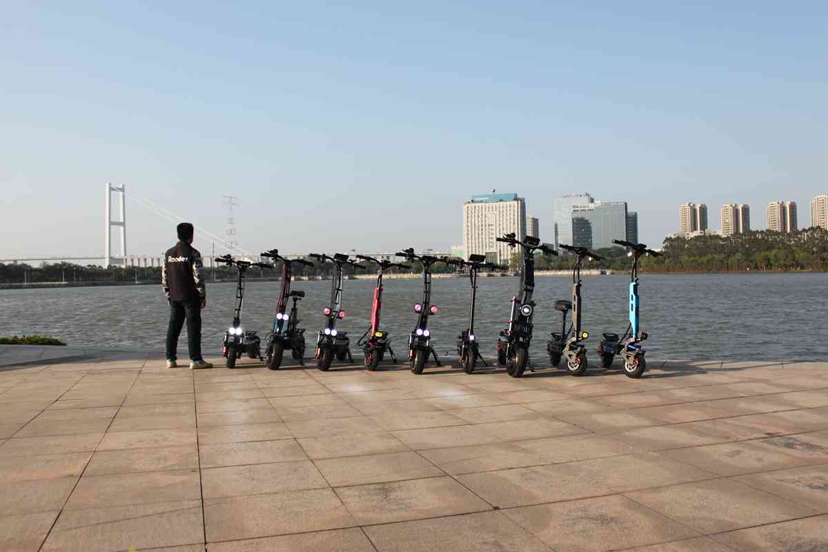 Best Range Electric Scooter wholesale