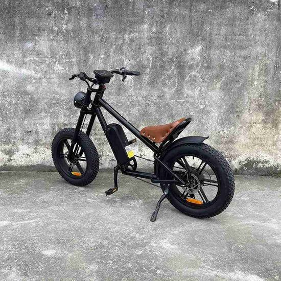 Big Tyre Electric Bike wholesale