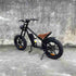Big Tyre Electric Bike wholesale