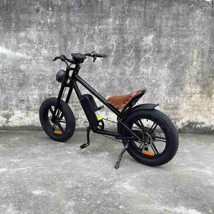 Big Tyre Electric Bike wholesale