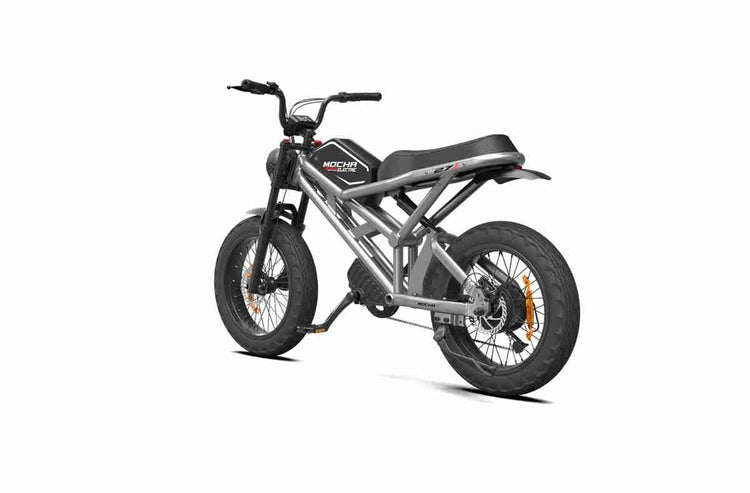Chinese Folding Electric Bike wholesale