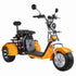 Citycoco Scooter wholesale