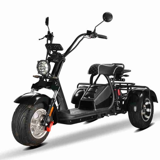 Citycoco Trike Rooder hm3 2000w 20ah 40ah wholesale price
