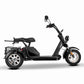 Citycoco Trike Rooder hm3 2000w 20ah 40ah wholesale price