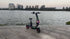 Coco City Electric Scooter wholesale