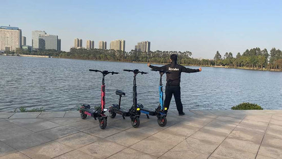 Compact Foldable Electric Scooter wholesale