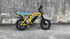 Custom E Bike wholesale