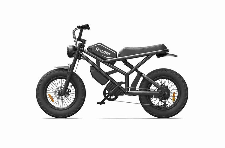 Custom Electric Bike wholesale